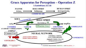 Grace Apparatus for Perception-Operation Z.png